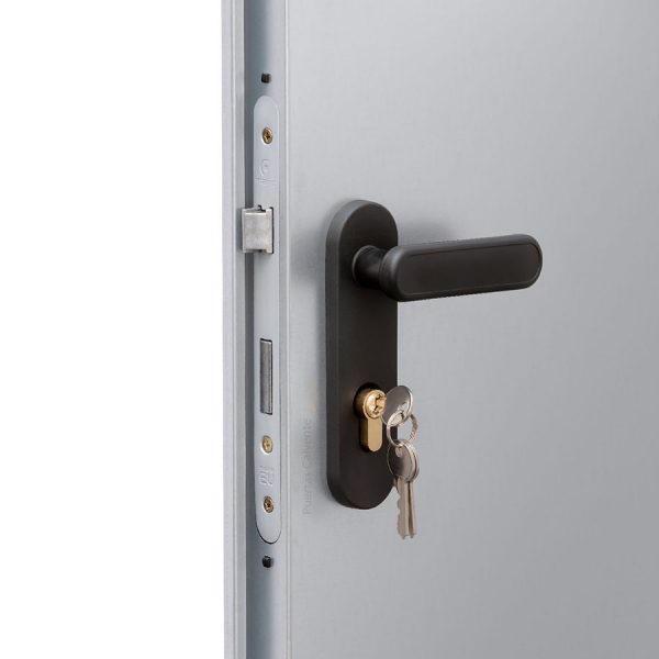 Puerta Galvanizada de Trastero Detalle Maneta